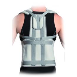 Lumbar Spine Support