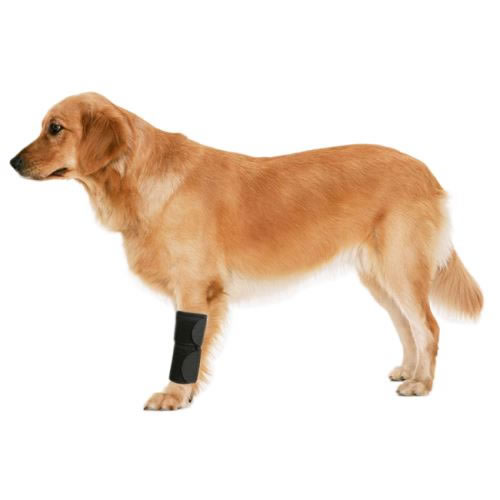 Dog Leg Brace