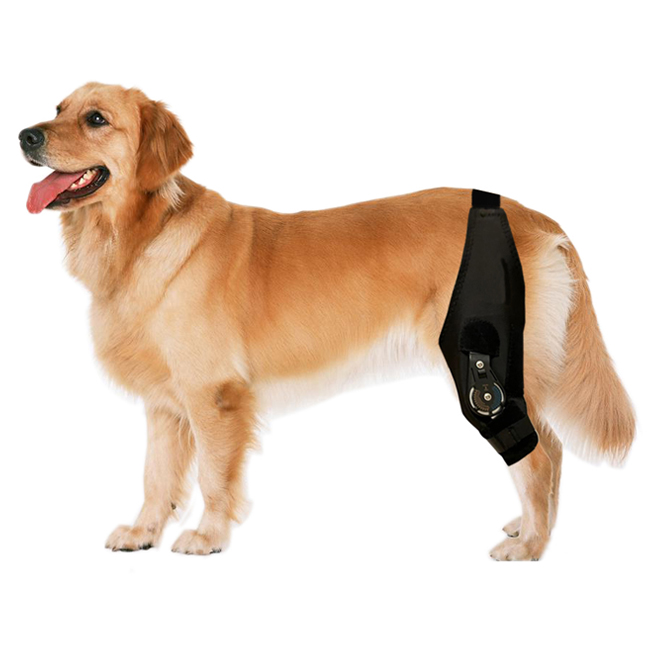 Dog Knee Brace with ROM Hinge Stabilizer